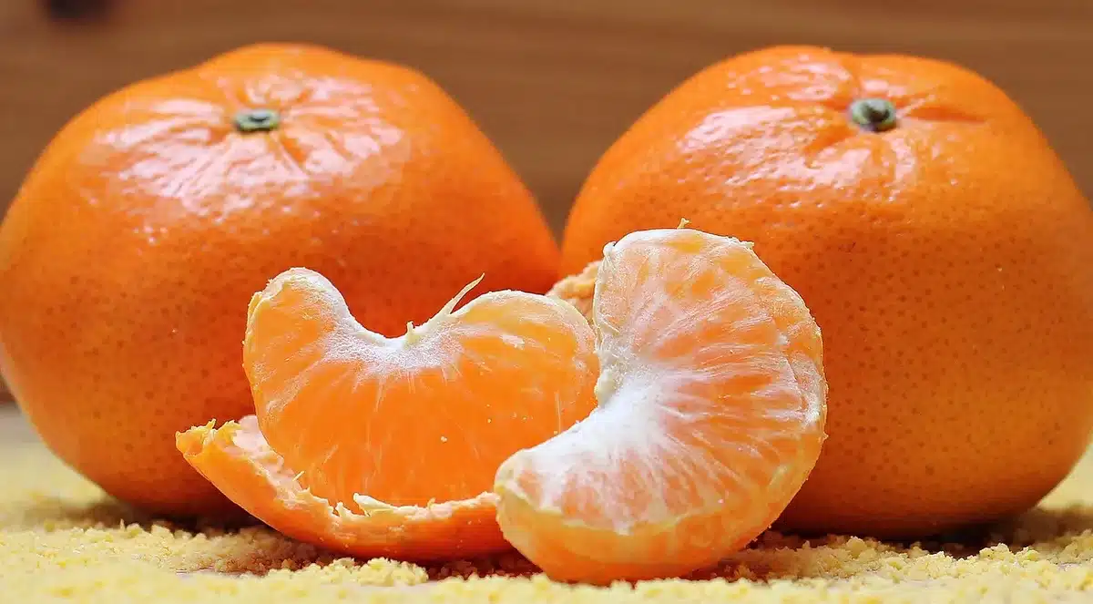 Aliments riches en acides aminés et vitamine C disposés sur une table