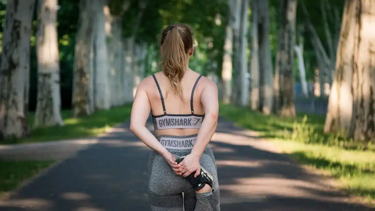 Illustration schématique de muscles sollicités et réparation après l'effort