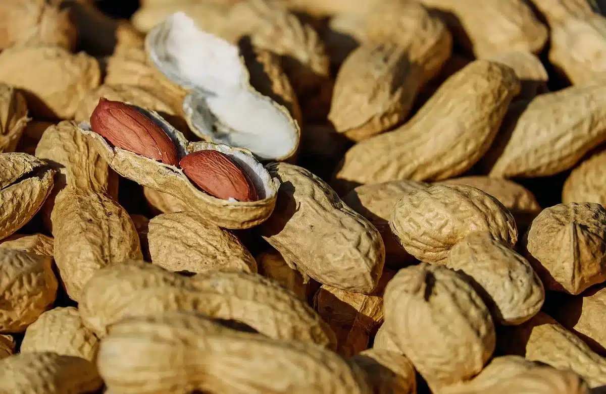 Bol avec poudre protéinée et liquide prêt à être mélangé pour pancakes