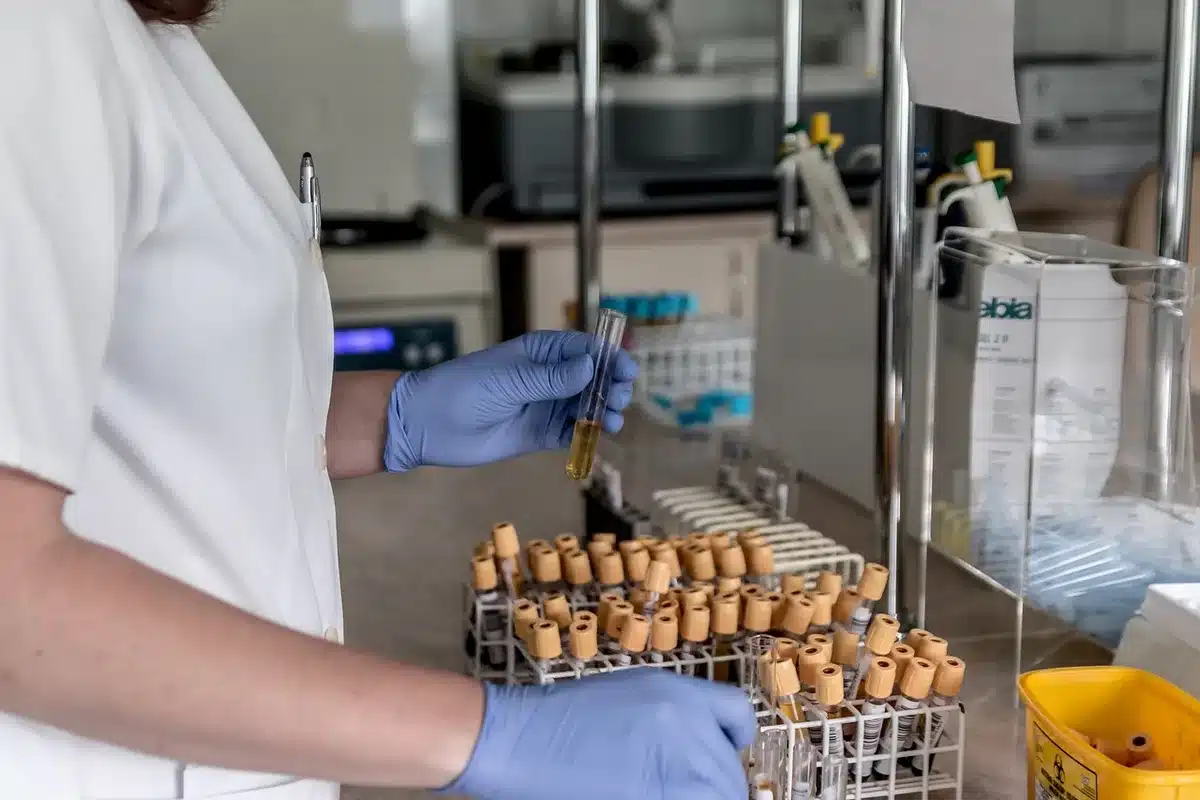 Schéma médical simplifié du pancréas à côté d'une prise de sang