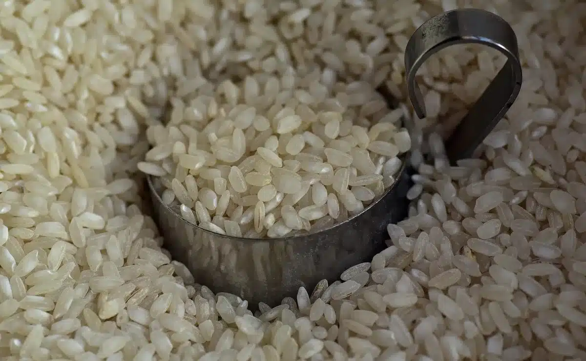 Comparaison entre riz complet et riz blanc pour montrer les différences nutritionnelles