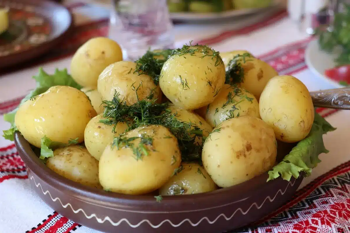 Préparation de repas sains avec protéines maigres et légumes