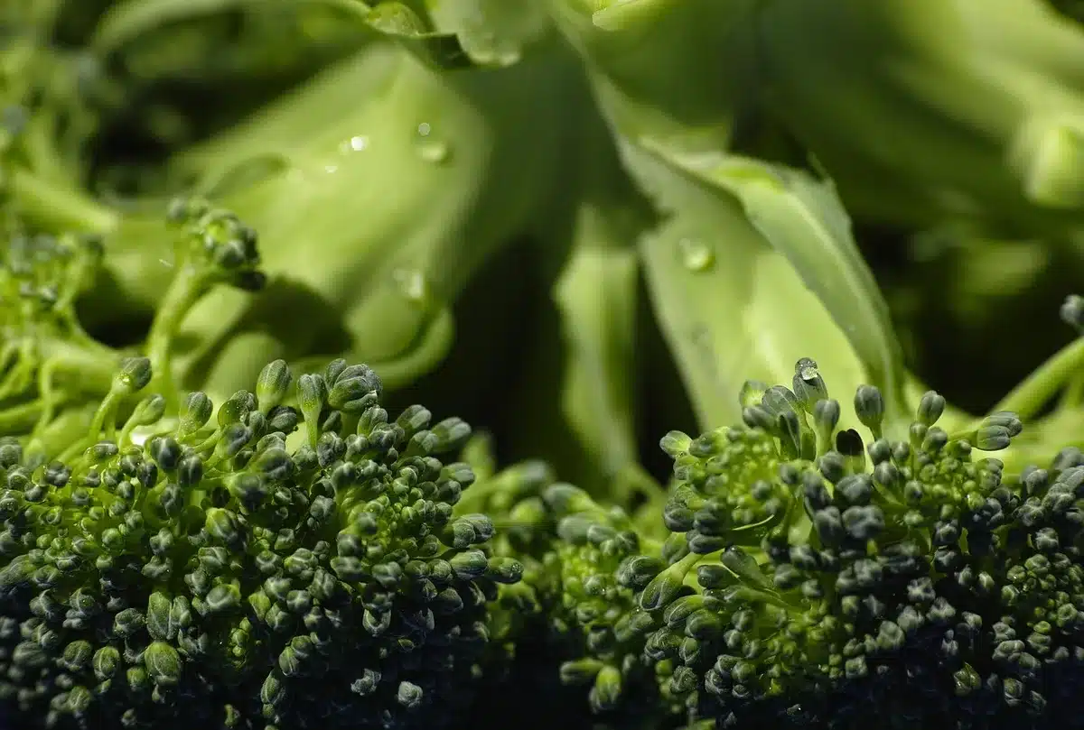 Brocoli cru coupé sur une planche montrant préparation alimentaire