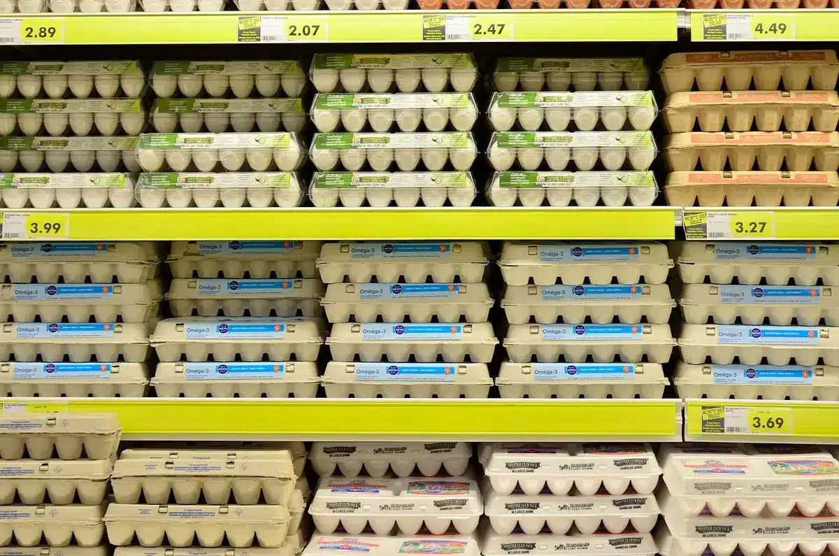Calculateur, reçu et étiquette de poids pour estimer le prix au kilo