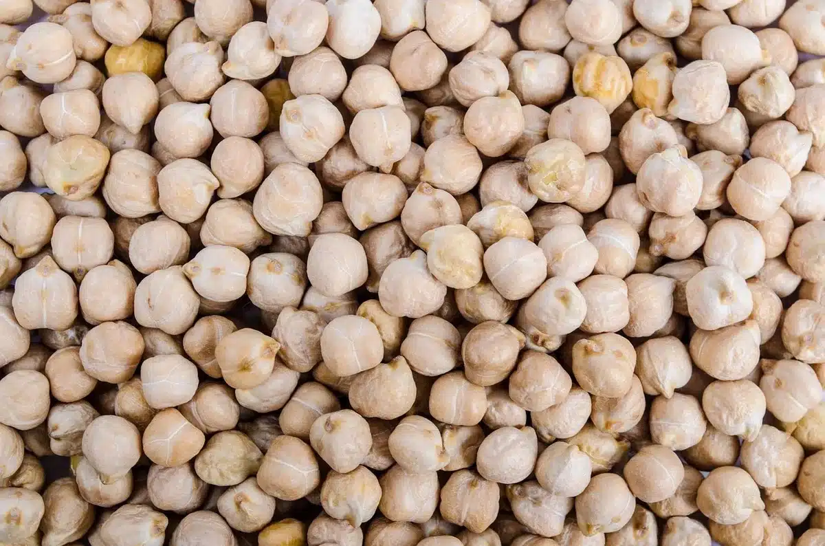 Assortiment de légumineuses, céréales et tofu sur une table