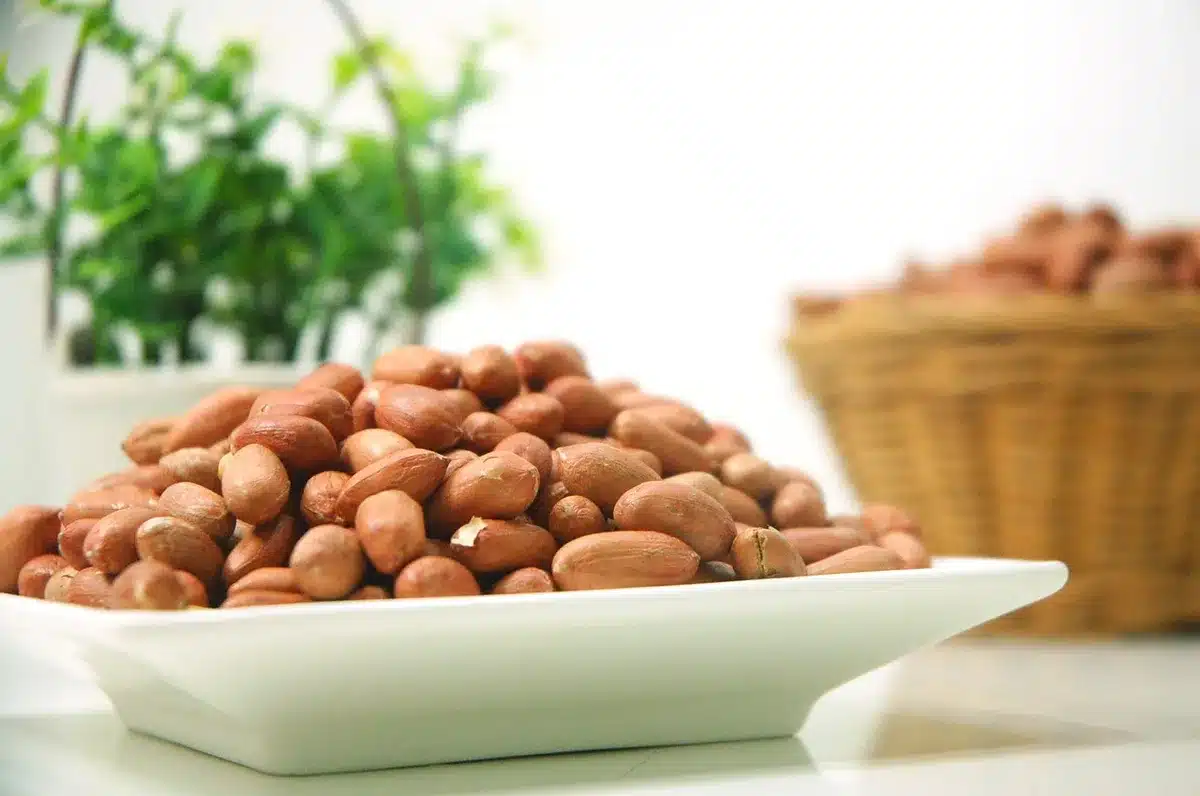 Assiette équilibrée avec légumes, protéines et légumineuses à IG bas