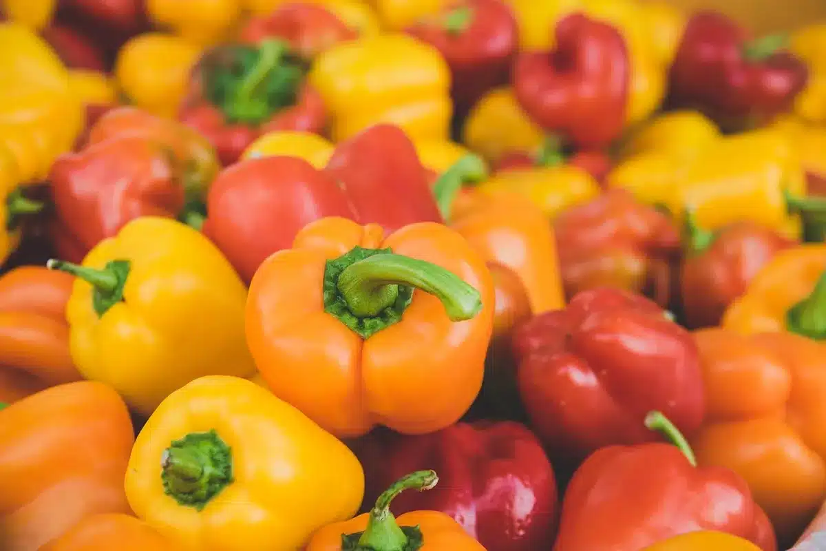 Bol de fruits et légumes colorés montrant une alimentation variée