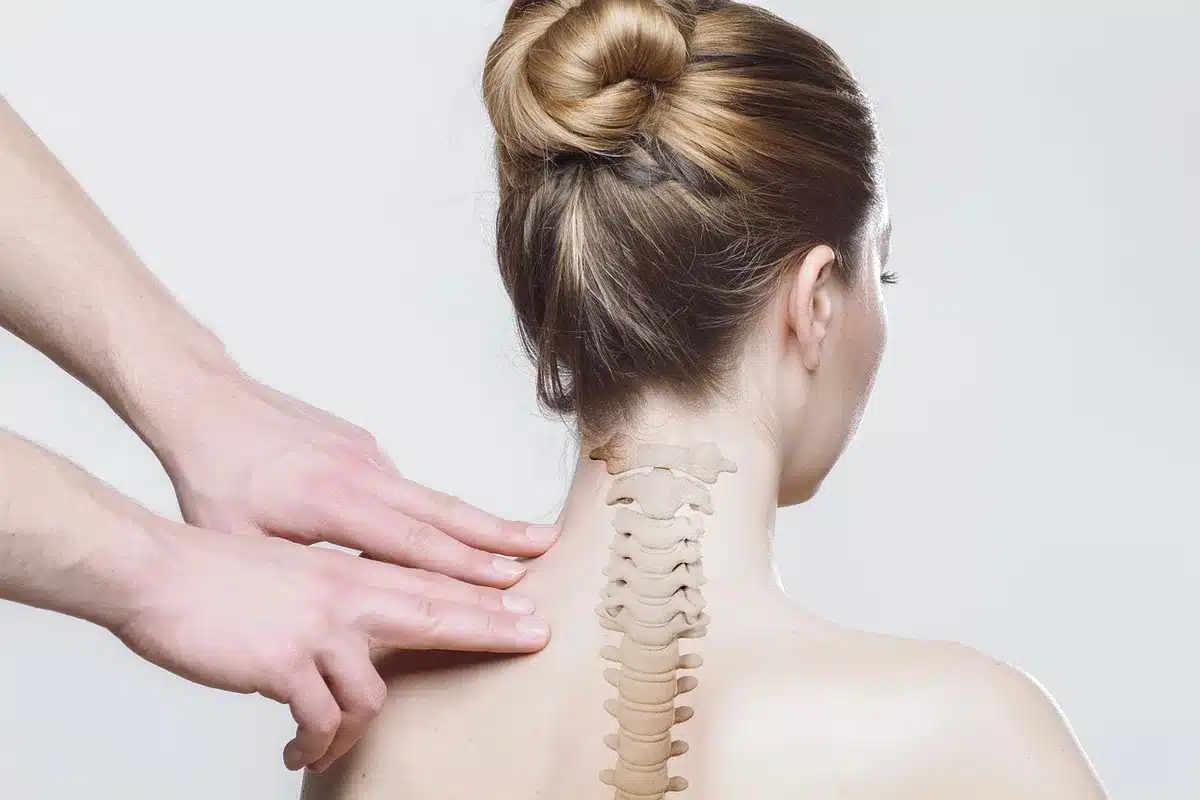 Schéma montrant répartition graisse, muscle et eau dans le corps