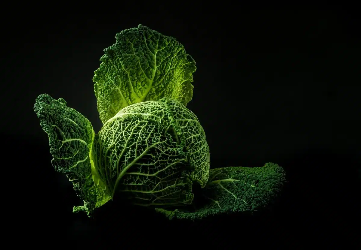 Schéma illustrant la vitesse d'absorption des glucides et impact sur la glycémie