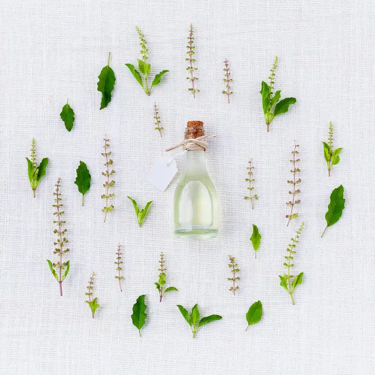 Bocaux et capsules d'extraits végétaux comme le curcuma et le resvératrol