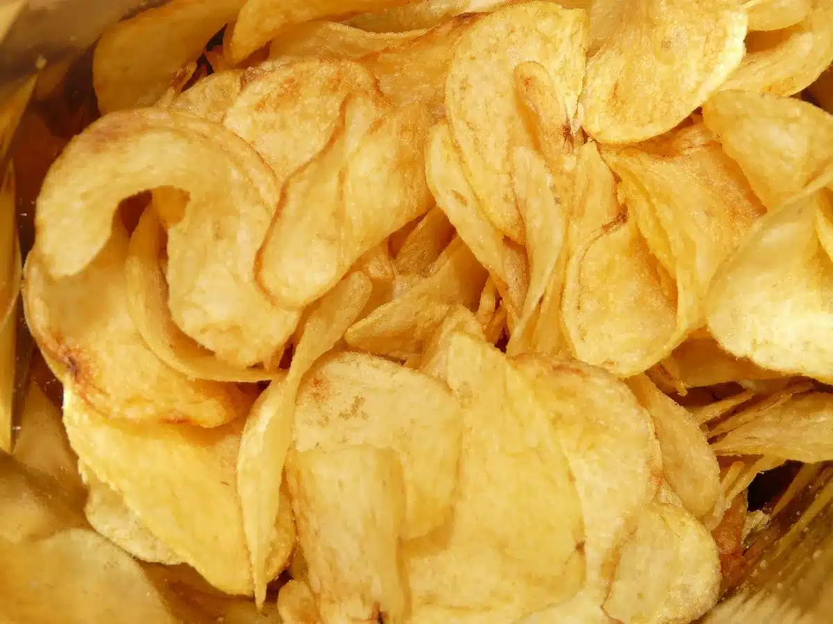Assiette de repas riche en graisses montrant un dîner lourd