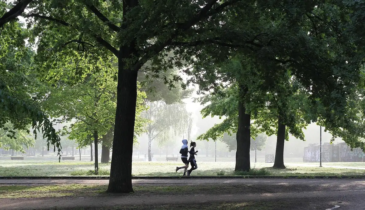 Coureur s'étirant près d'un banc, à l'écoute des sensations corporelles